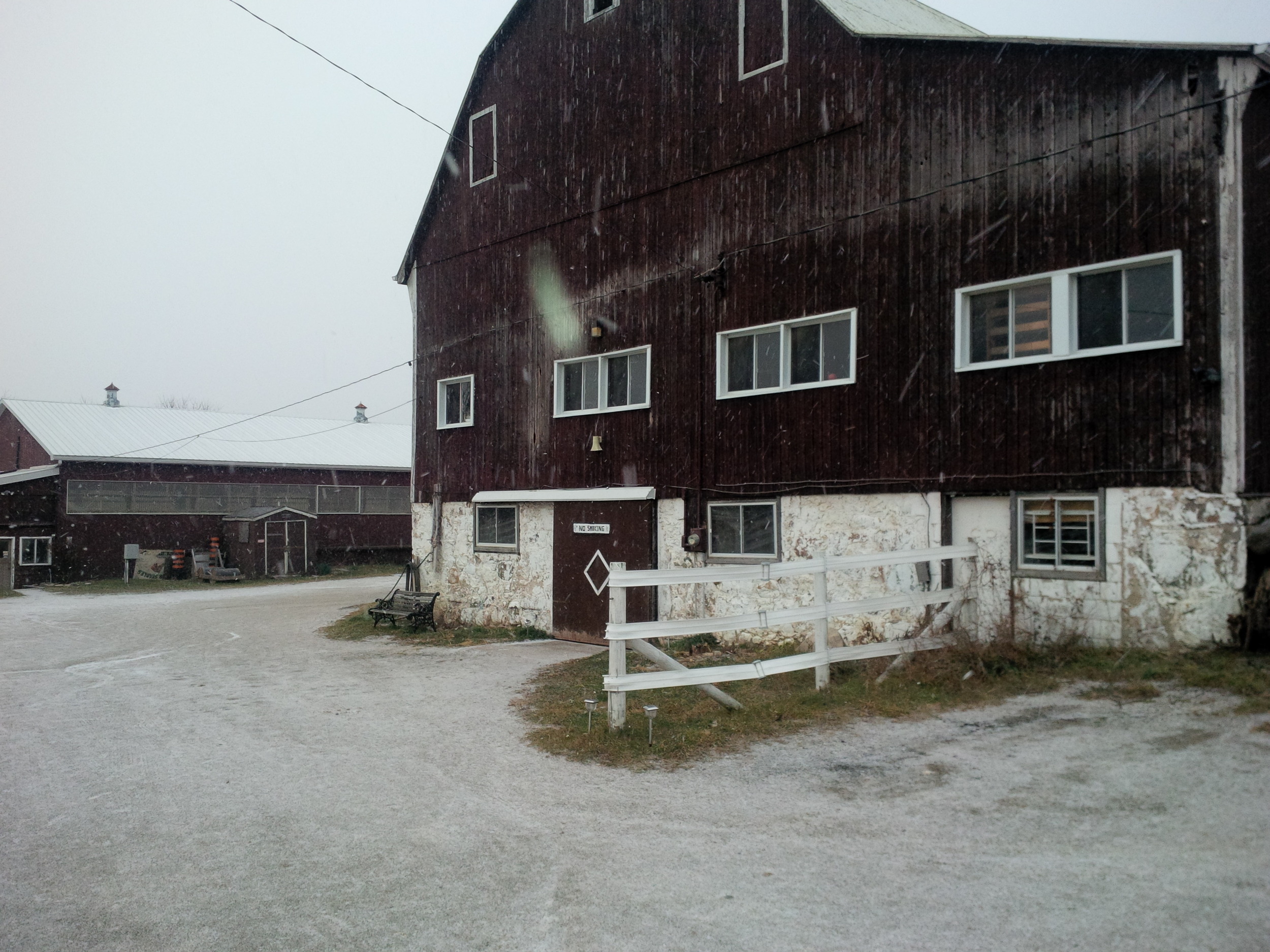 The Pride Stables barn and outdoor paddock.