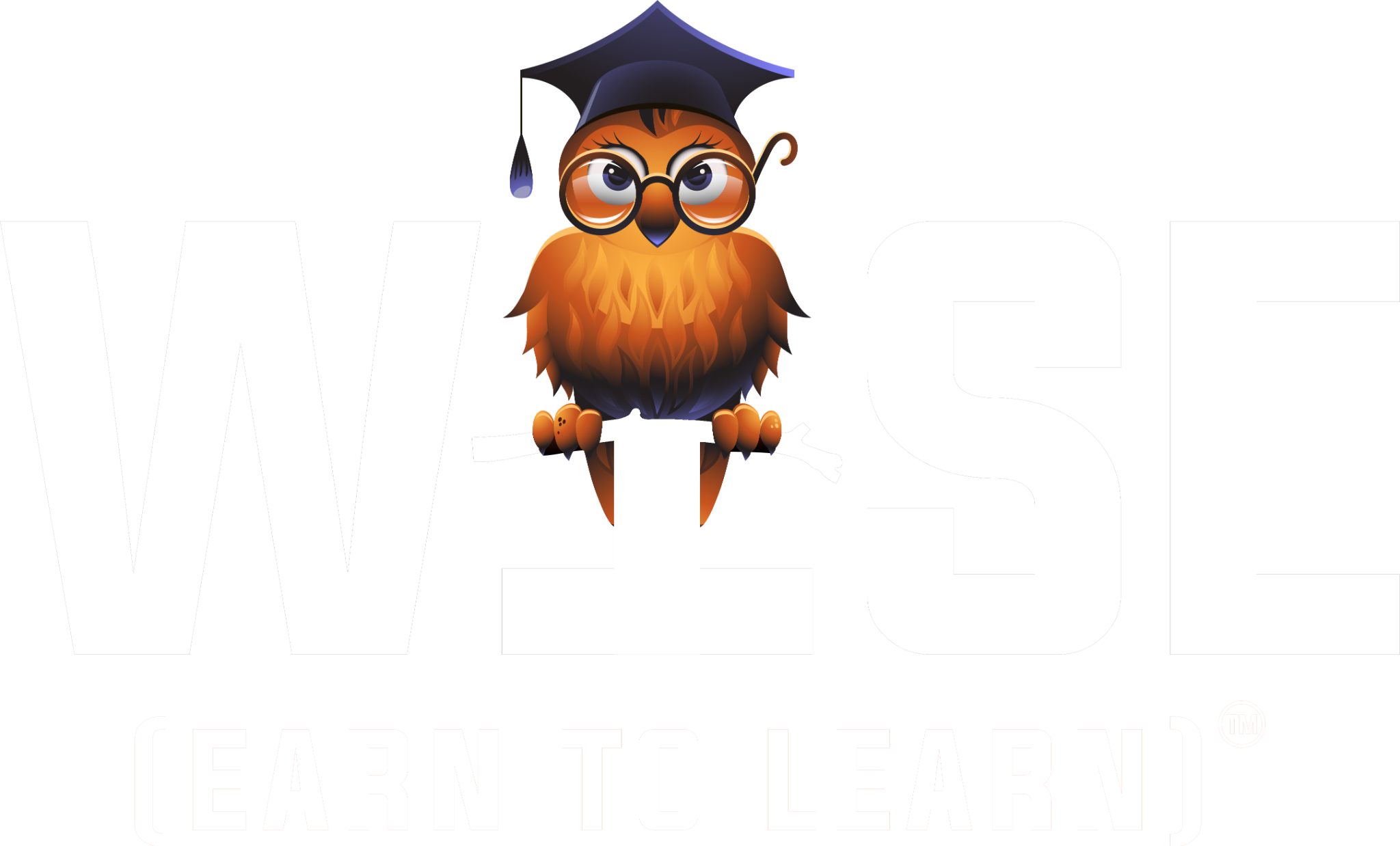 WISE Scholarship Program™ — Earn to Learn